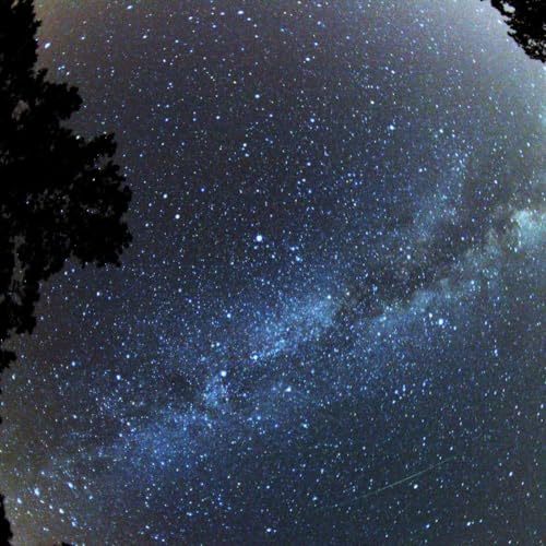 "Light: To See and to Know"