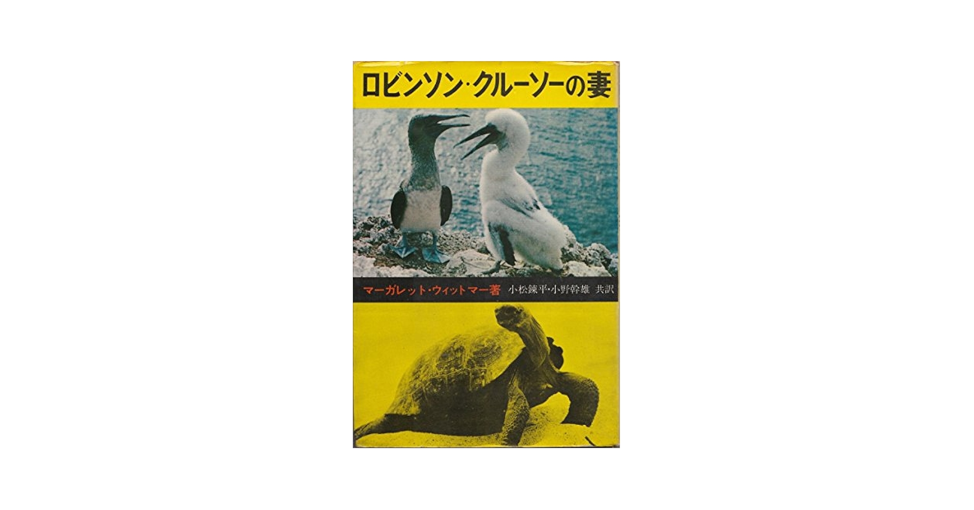 値下げ❣️ ロビンソン・クルーソー　1875年　アンティーク本 ロビンソン・クルーソー (岩波少年文庫 566) | ダニエル