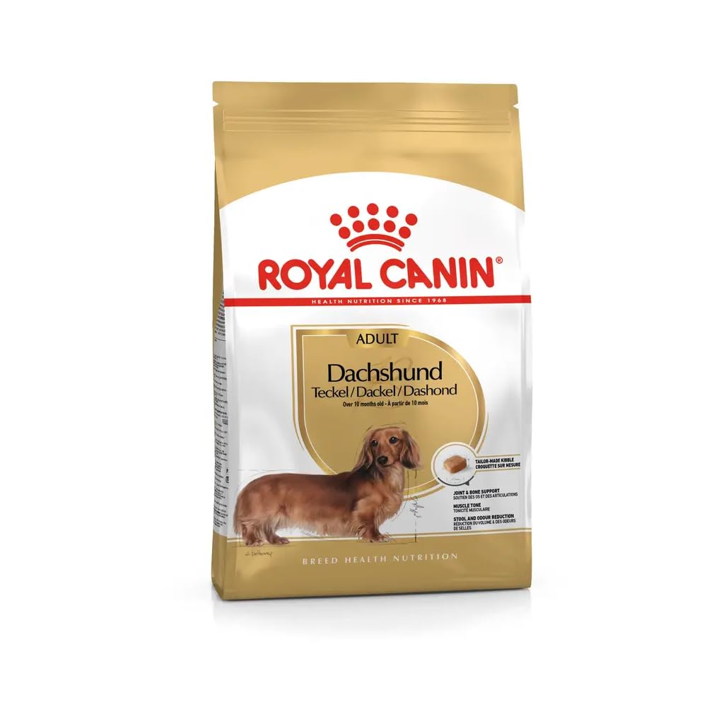 Royal Canin Dachshund Adult | Paquete Doble | 2 x 500 g | Alimento Completo para Dachshunds Adultos a Partir del 10º Mes