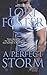 A Perfect Storm (Edge of Honor)