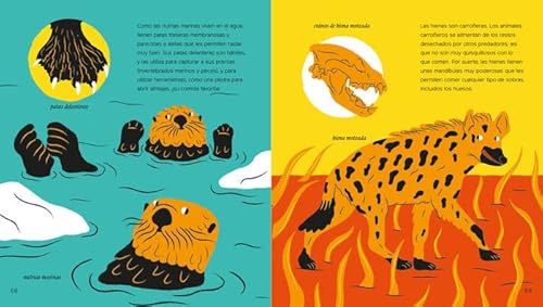 Vertebrados versátiles (Spanish Edition) [Spanish] 841920837X Book Cover