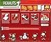 Peanuts Gingerbread House Kit