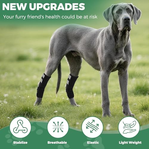 OHCOZZY Hinterbeinbandage für Hunde 2 Einheiten mit reflektierenden Riemen, leckschutz Hund hinterbein, Hundebandagen für Wickel Wunde Verletzung und Verstauchung Heilung,XL