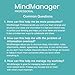 MindManager Professional | 1 Year Subscription | Powerful Visualization Tools and Mind Mapping Software [PC/Mac Download]