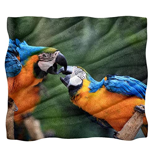 Couvertures chaudes et douces TBOUOBT contre le froid plaid microfibre perroquets - 2
