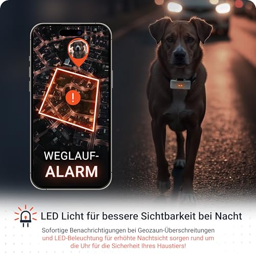 PAJ GPS Tracker für Hunde - 4G - Weglaufalarme + weltweite Live-Ortung - bis zu 10 Tage Akkusparmodus - Hunderückruf - mit Leucht-LEDs - Wasserdicht (IP67) - passt an jedes Halsband (Grau)