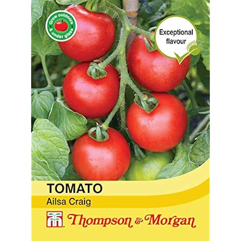Thompson & Morgan - Vegetables - Tomato Ailsa Craig - 75 Seed Cover