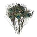 KAYSO PF1012-30 Pack of 30pc Natural Peacock Feathers 10-12''