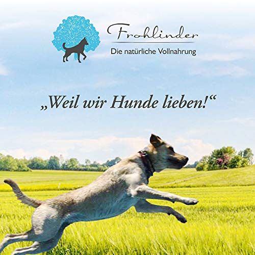 Frohlinder Hundewurst AKTIV | Vollnahrung für sportlich aktive Hunde ab dem Welpenalter | Eigenherstellung aus deutschen Produkten | 100% natürliche Zutaten ohne Zusatzstoffe