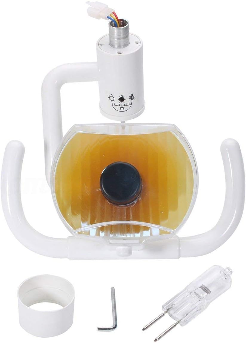 Dental Shadowless Oral Light Lamp Surgical Cold Light for Dental Unit Chair 22mm