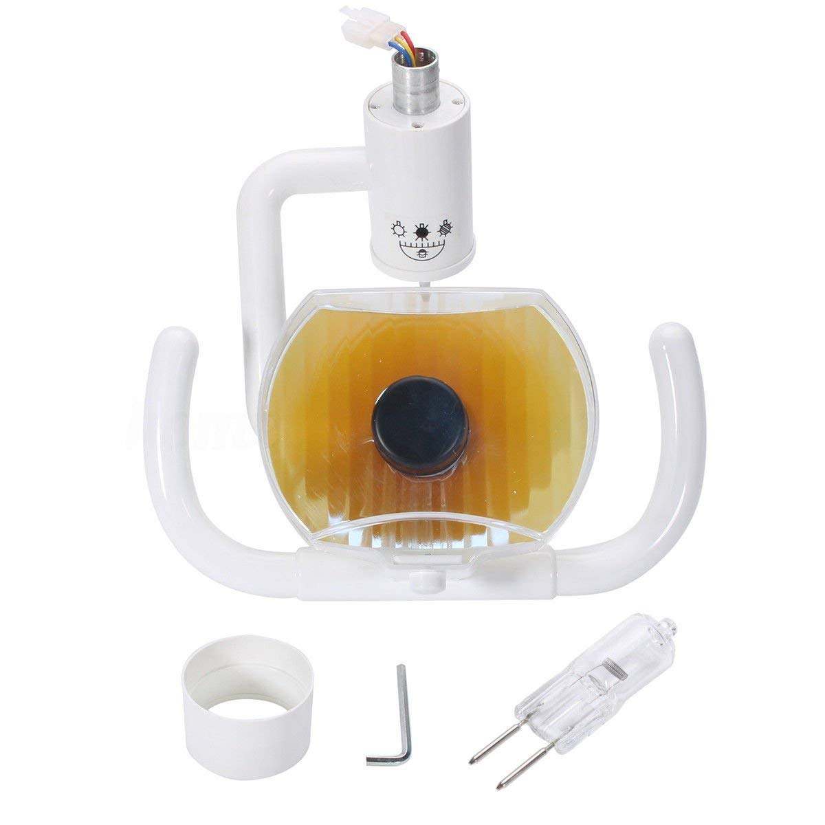 Dental Schattenlose Oral-Lampe, chirurgisches Kaltlicht für Zahnarztstuhl, 22 mm