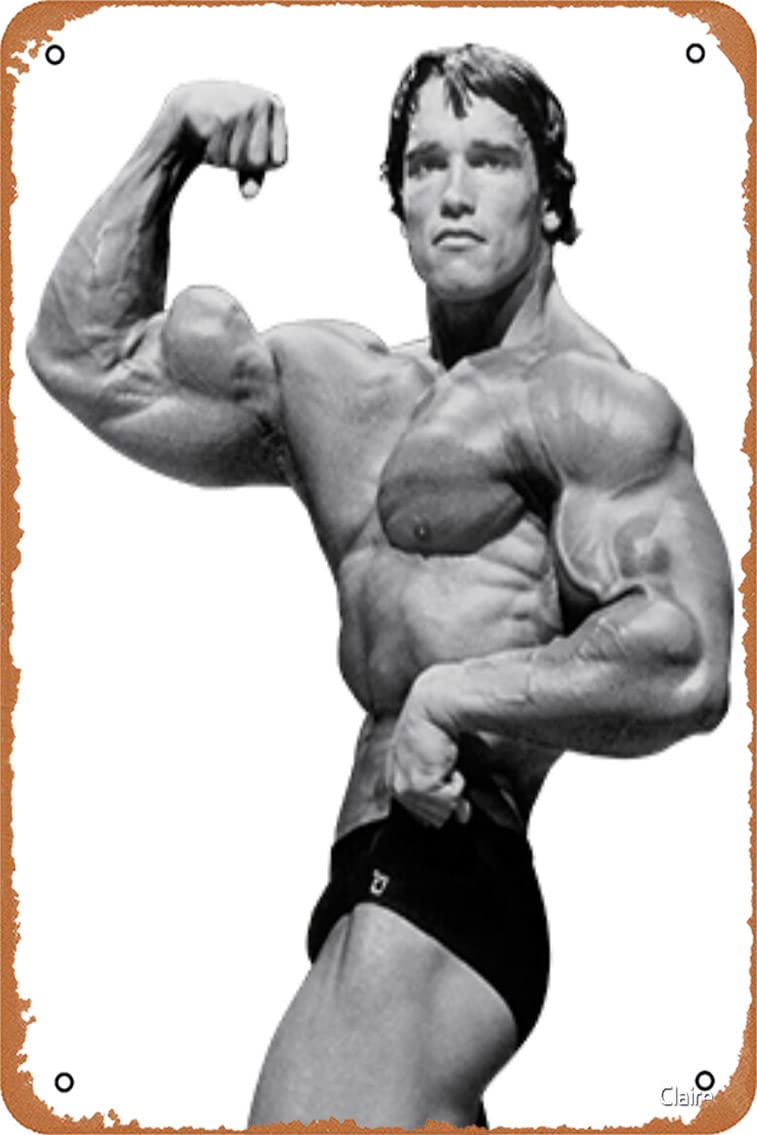 Yzixulet Arnold Schwarzenegger Art Print Vintage 8" x 12" Metal Tin Sign Funny Man Cave Decor