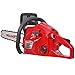 HECHT 962 Benzin-Kettensäge Benzinbetriebene Motorkettensäge mit Dekompressionsventil Schwertlänge: 50 cm, Benzintank: 0,55 Liter