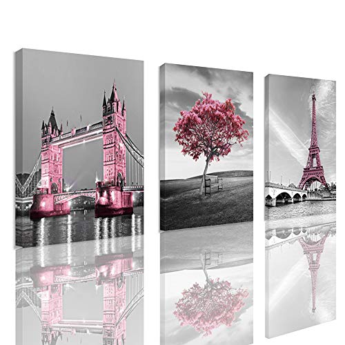 Decor for Bedroom for Girls Pink Paris Theme Room Decor Wall Art Canvas Black and White Art Eiffel Tower Pictures Decorations Tower Paris Eiffel Tower Painting Framed (12"x16"x3Panles)