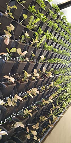 Image of Bio Blooms M2 Model Vertical Wall Hanging Garden Pots | 15 Panels & 45 Pots | Black | UV Resistant, Durable Frame for Indoor & Outdoor Use