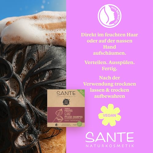 SANTE Naturkosmetik Festes Shampoo für glanzloses und normales Haar, Vegane Formel mit Bio-Birkenblatt und pflanzlichem Protein, Festes Glanz Pflege-Shampoo, 1 x 60 g
