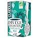 CLIPPER - Infusion Bio - Divine Digestion - Deux menthes et Fenouil - 20 Sachets d'Infusion Bio - Lot de 1