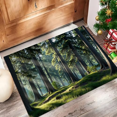 Tapis souple lavable absorbant à profil bas pour entrée de maison