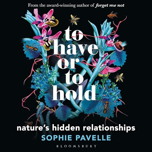 To Have or To Hold by Sophie Pavelle episode artwork