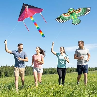 Arrowbash 8 Pack Kites for Kids Large Flying Long Kite with 8 Pcs 328 ft Strings for Outdoor Game