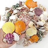 Wankko 50Pcs Mixed Beach Seashells, Colorful Natural Seashells Perfect Accents for Candle Making, Home Decorations, Beach Theme Party Wedding Decor, DIY Crafts, Fish Tank and Vase Fillers