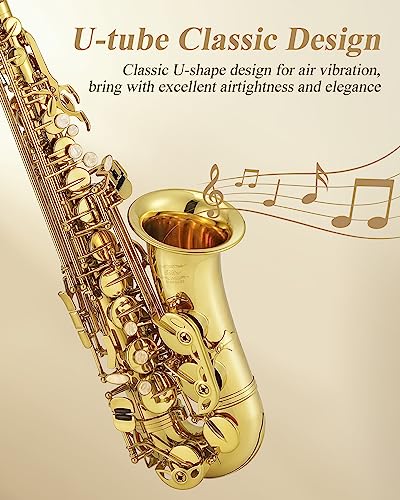 eastar professional alto saxophone golden e flat eb with cleaning kit carrying case mouthpiece neck strap reeds stand as-