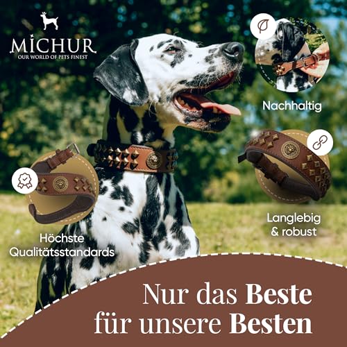MICHUR Diego Braun 1. Wahl !! Hundehalsband Leder Lederhalsband Hund Halsband Löwenkopf Nieten Messing Optik Braun Gold