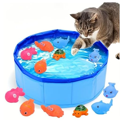 Interactive Cat Pool Toy with Fish