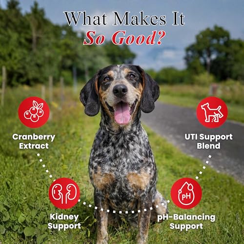 Image of Petroyale Cranberry Chews for Dogs - Dog UTI Health Supplement - Better Urinary Tract & Bladder Function - Antioxidant, Anti-Inflammatory - for Dogs of All Breeds (30 Chews Tabs)