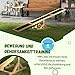 PawHut Hundewippe, Hunde Agility Wippe aus Holz, rutschfest Hunde Agilitäts Rampe für Hunde unter 30 kg, wetterfest Hundetraining Outdoor Hundesport für Balance, 180 x 30 x 30 cm Gelb