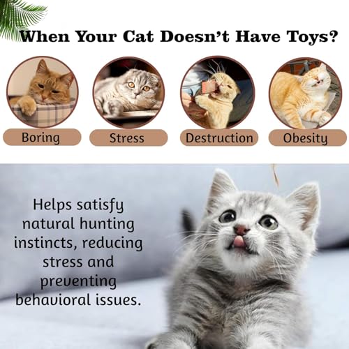 Image of Emily Pets Cat Scratcher (Pack of 3) with Toys - Cardboard Scratch Pad, Feather Wand, and Plush Toy, Durable and Anti-Slip for Cats and Kittens (Color May Vary)
