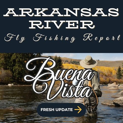 Arkansas River Report – Buena Vista (Sept 24, 2025): Tricos, BWOs & Skinny Flows cover art