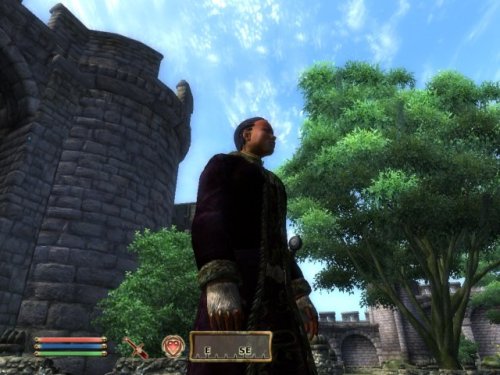 Oblivion : Add On De The Elder Scrolls Iv : Knights Of The Nine Pc - vue 7