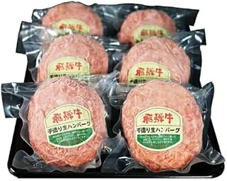 【飛騨牛】 生ハンバーグ（200g×6個）/ ハンバーグ はんばーぐ ひだぎゅう 牛肉 100% 手ごね 特大 国産牛 冷凍 和牛 ANBO030