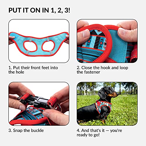 Collardirect Step-In Reflective Dog Harness - Any Weather Air Mesh For Small And Medium Dogs Easy To Put On And Off 3 Patterns (Size M, Pattern 1) #TOP3