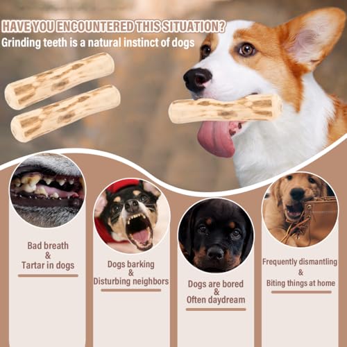 MOLZINY 2 Stück Kaffeeholz Kauholz Kauspielzeug Hund Hundespielzeug Kauen Stifte Kauen Kauknochen aus Kaffeeholz für Welpen für Kleine und Mittlere Hunde