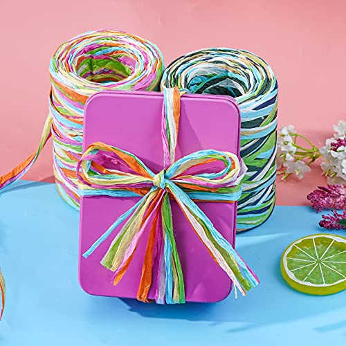 Hoveox 2 Rolls Colored Raffia Paper Ribbon 524 Feet Colored Paper String Raffia Ribbon For Gift Wrapping Party Decor And Craft Decoration #TOP3