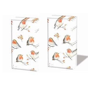 Ambiente Rotkehlchen Mini Taschentücher 2 Packungen