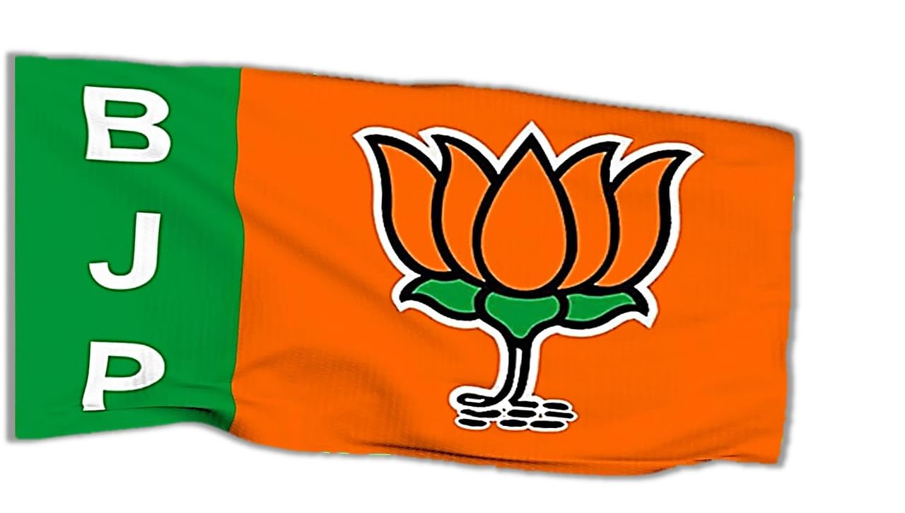 UNIq Bharatiya Janata Party ? BJP National Party Outdoor Indoor Flag in Satin - 20 X 30 Inches (B0CWFDT6Z1) Amazon Price History, Amazon Price Tracker