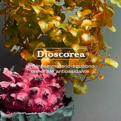 Cecilia Super Skinny 50 Compresse - 5