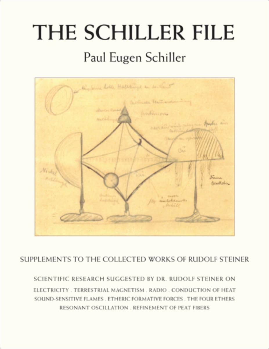 Buy The Schiller File: Supplements to the Collected Works of Rudolf Steiner — BookShops.in
