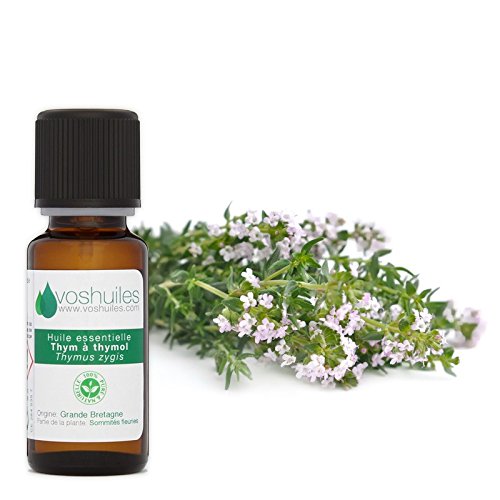 Thymol Thyme Essential Oil - 100% Puro Y Natural - Semanalmente - Diluido En Un Aceite Vegetal Para Masajes - 20 Ml - Aromaterapia - Aromaterapia - Vosteniles