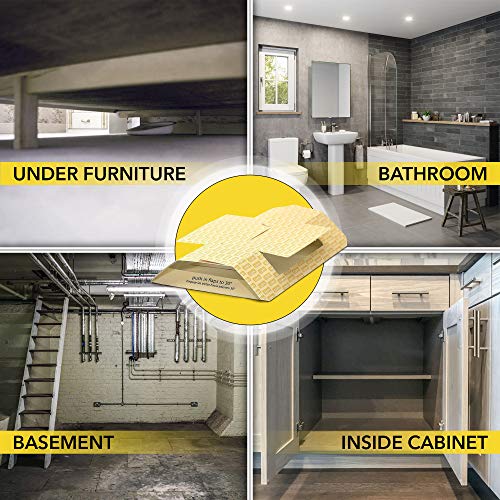 Harris Roach Glue Traps, Non Toxic (10-Pack) #TOP1