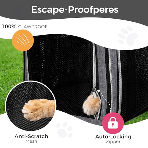 Image of BAGLHER Pet Travel Carrier, Cat Carriers Dog Carrier for Small Medium Cats Dogs Puppies, Airline Approved Small Dog Carrier Soft Sided, Collapsible Puppy Carrier. Grey