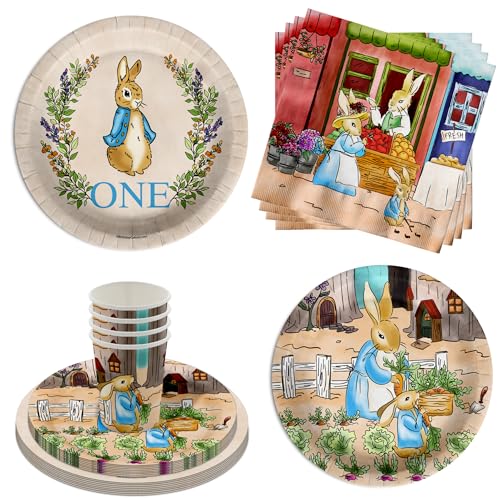 Peter Rabbit Boy's 1st Birthday Party Supplies - 64 Piece First Birthday Tableware Set Includes Large 9" Dinner Plates and 8" Dessert Paper Plates Napkins Cups - Kit for 16