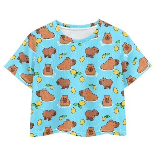 Image of Girls Crop Tees Crew Neck Casual Short Sleeve T Shirts Kids Loose Soft Comfortable Tees Blouses Shirt for Little Girl
