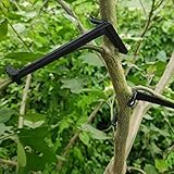 Branch Spreaders Plant Stem Traine Fruit Tree Branch Puller Tying Machine Farm Tools New Plum Tree Open Angle Pull Branch Stereotyped Branch Bending Tool Fruit Branch (Black 30 Pieces)