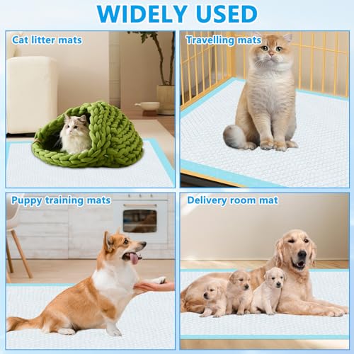 Foydream Welpen Unterlagen,40 Stück PIPI Matten für Hunde 60 x 60 cm Trainingspads Auslaufsicheres 6-lagiges Design mit Schnell Trocknender Oberfläche