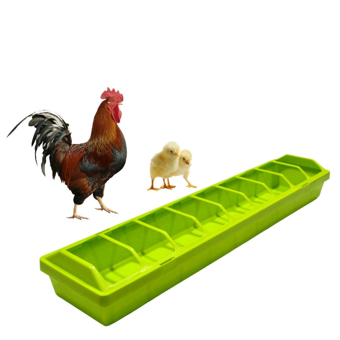 TAIYO PLUSS DISCOVERY® Chicken Food Feeder, Size: (51X10X6 CM) (LXWXH), Poultry Trough Food Feeding Tray with Holes,Suitable for Hen, Chick (Color May Vary)-image-47