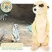 TigerHart Mimi The Meerkat - 10 Inch Stuffed Animal Plush